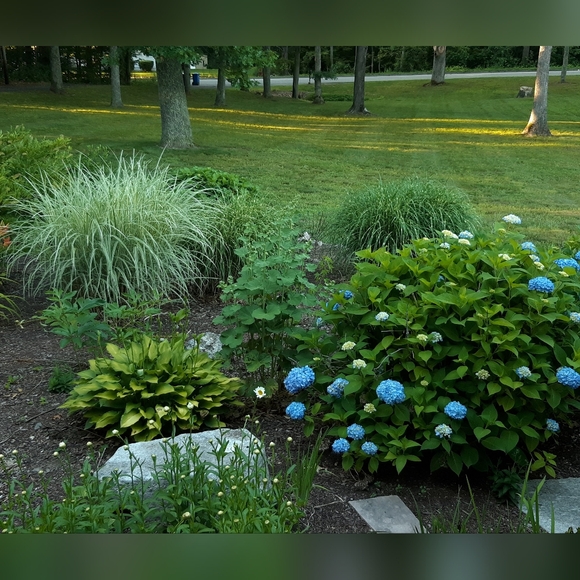 20% Off Bundles Of Two Items Or More - Picture 9 of 10